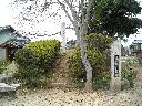 DSCN3032