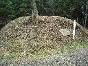 DSCN3061