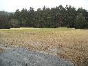 DSCN3070