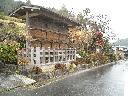 DSCN3080
