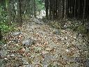 DSCN3092