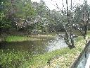 DSCN3095