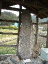 DSCN3115