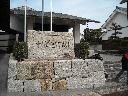 DSCN3118