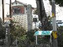 DSCN3122