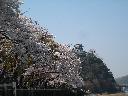 DSCN3168