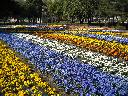 DSCN3198