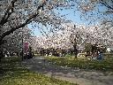 DSCN3200