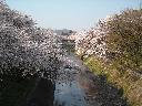 DSCN3201