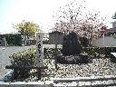 DSCN3213