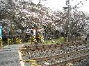 DSCN3240
