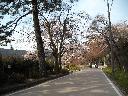 DSCN3261