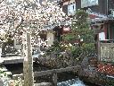 DSCN3273