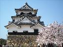 DSCN3292
