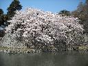 DSCN3301