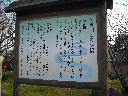 DSCN3302