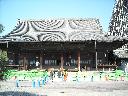 DSCN3356