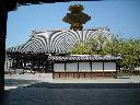 DSCN3361
