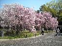 DSCN3381
