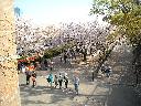 DSCN3414
