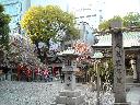 DSCN3425
