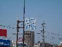 DSCN3437