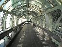 DSCN3485