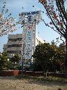 DSCN3492