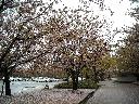DSCN3499