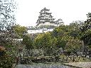 DSCN3500