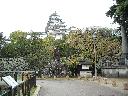 DSCN3501
