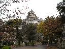 DSCN3502