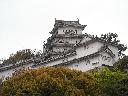 DSCN3505