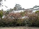 DSCN3506