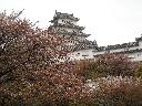 DSCN3507