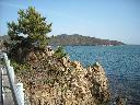 DSCN3545
