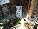 DSCN3551
