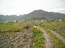 DSCN3568