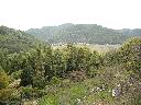 DSCN3571