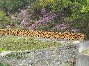 DSCN3587