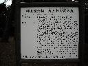 DSCN3606