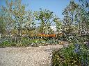 DSCN3631