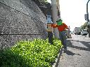 DSCN3635