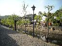 DSCN3652