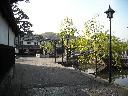 DSCN3653