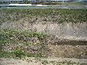 DSCN3669