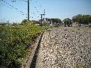 DSCN3671