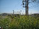 DSCN3672