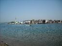 DSCN3684