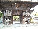 DSCN3690